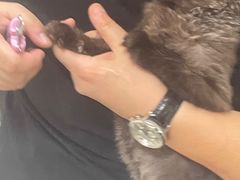 -德元·美联众合24小时动物医院(总院)