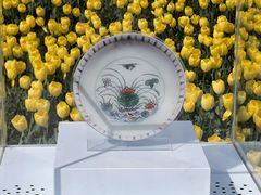 -荷兰花海