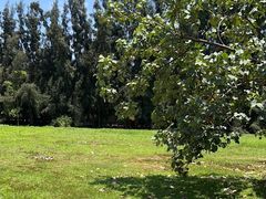 -白沙门生态公园