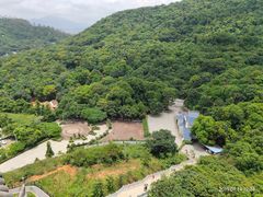 -清溪大王山森林公园
