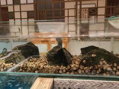 -东宴(温岭店)