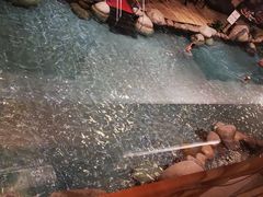 -青城道汤池