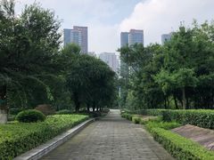 -重庆彩云湖湿地公园