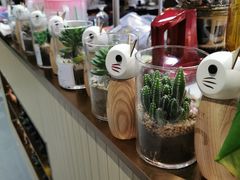 -森林象亲子餐厅·儿童生日会