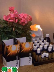 -芳香乐府疗愈空间·SPA·冥想