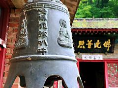 -终南山国家森林公园