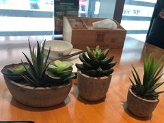 -莲香西域·正宗新疆菜(龙华店)