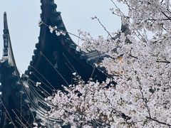 -龙华寺