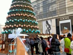 -Tiffany & Co.蒂芙尼
(南京德基广场店)