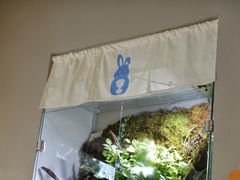-小意思咖啡店(草桥店)