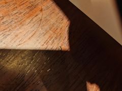 -山葵家居酒屋(天目里店)