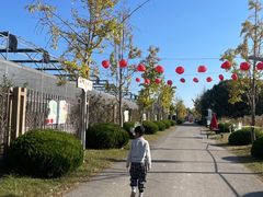 -菊园百果园