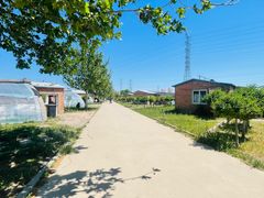 -甜心庄园·甜心草莓采摘园(西青中北店)