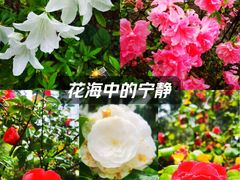 -西湖文化广场