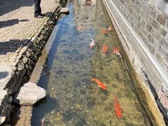 -前童古镇