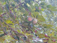 -河南省黄河迎宾馆