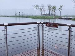 -洋湖国家湿地公园