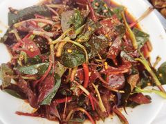 -铁山坪森林公园