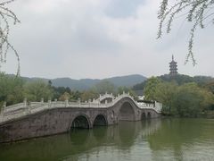 -天下玉苑