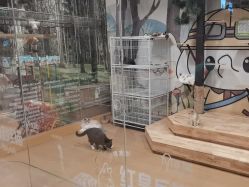 -小象动悟公园(龙湖亦庄天街店)