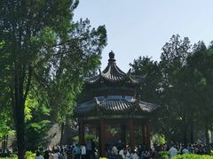 -洛阳白马寺