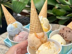 -苏小糖(鼓浪屿三丘田花园店)