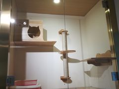 -Double Rui宠物酒店