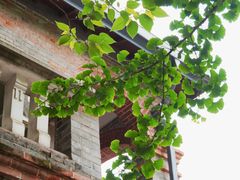 -融园咖啡馆(昙华林店)