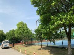 -九里河湿地公园