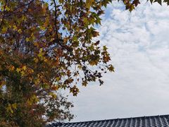 -东湖听涛景区