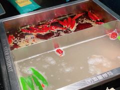-五星桥原切肥牛火锅·30年专注好牛肉(湖塘店)