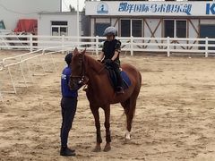 -大连凯洋马术俱乐部有限公司