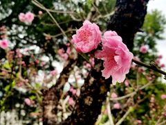 -乌山风景区