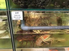 -兴旺海鲜砂煲王