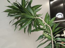 -颜蕾医美·黄金微针·水光·玻尿酸·超声炮