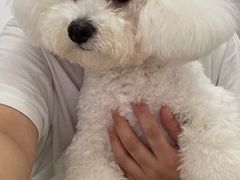 -创凡宠物医院·骨专科  猫科中心(西乡分院)