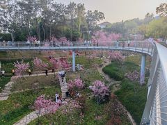 -狐尾山公园