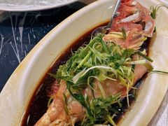 -富来美食