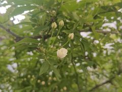 -南京市民俗博物馆(甘熙故居)