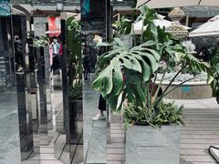 -星巴克臻选(成都宽窄巷子店)