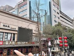 -蜀大侠火锅(总府路店)