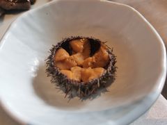 马粪海胆-上宴精品海鲜姿造(晶融汇旗舰店)