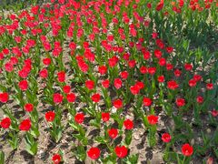 -长春公园(普阳街道)