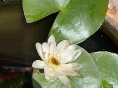 -汉长安城未央宫国家考古遗址公园