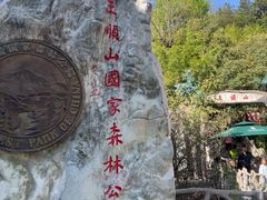 -王顺山国家森林公园