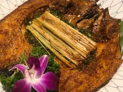 -紫滇源云南生态菜(丹凤街店)