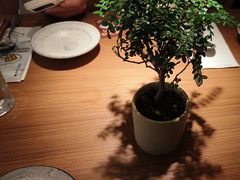 -CURRY YA 熟成咖哩專門店(深圳湾万象城店)