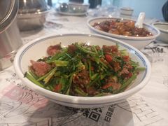 -壹盏灯(惠农店)