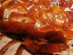 -守柴炉烤鸭(科华中路王府井店)