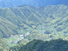 -浔味·山屿湖·正宗淳牌全鱼宴老字号